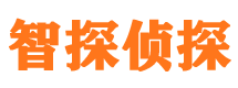 江孜寻人公司